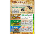 恐竜とはなにか？